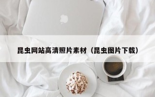 广元昆虫网站高清照片素材（昆虫图片下载）
